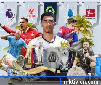 mk体育 APP(MKsports)